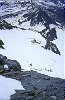 L'intervento dell'elicottero per il ferito sul ghiacciaio del Grossglockner